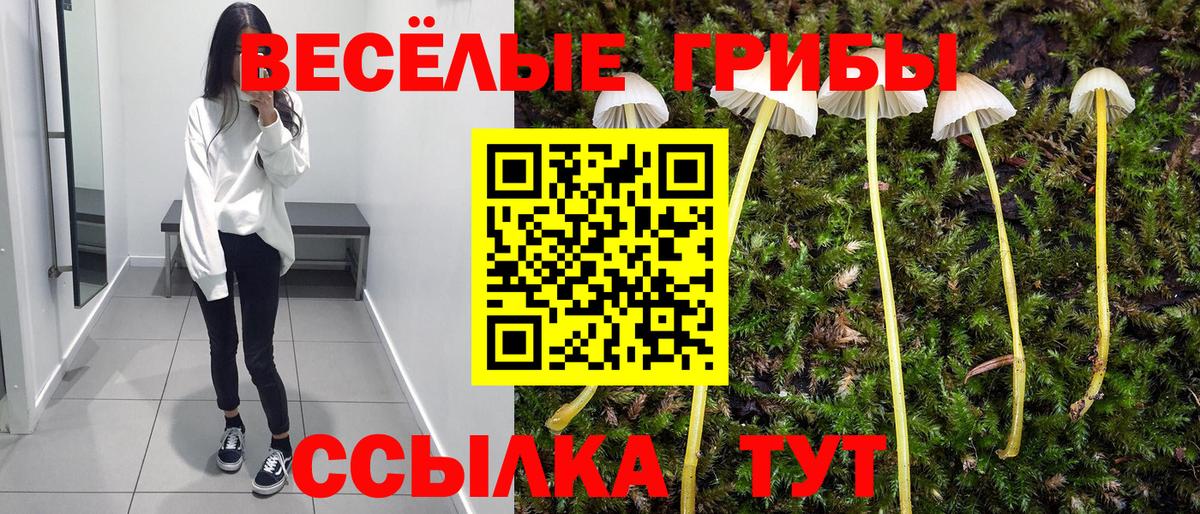 Галлюциногенные грибы прущие грибы  Вход с VPN  Хасавюрт 