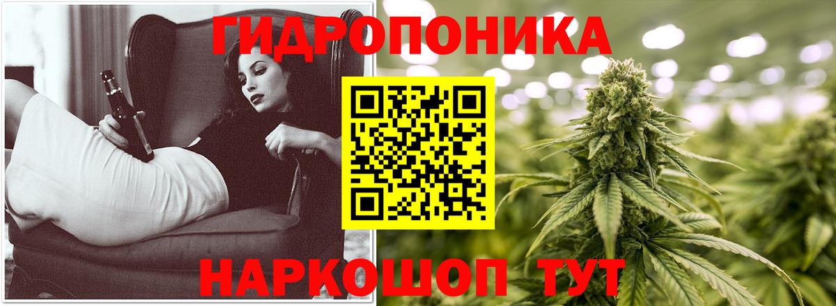 Канабис планчик Хасавюрт